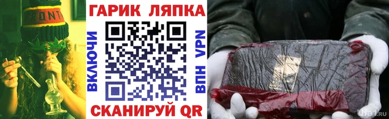 ГАШ Premium Сычёвка
