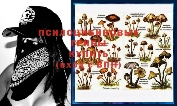 mdma Пролетарск