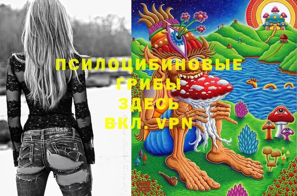 дживик Абинск