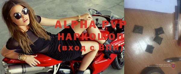 спиды Абаза