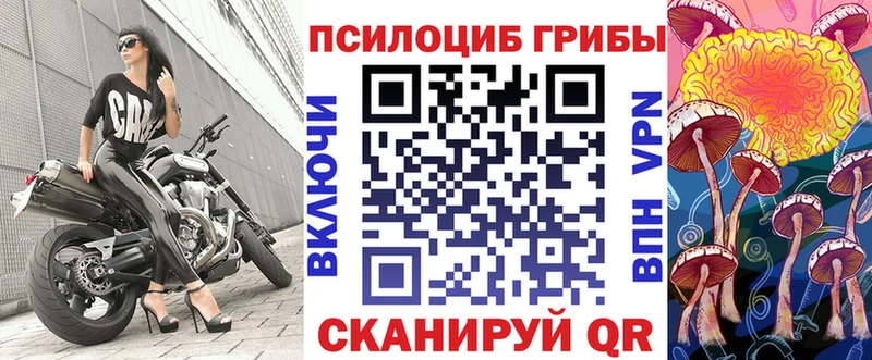 как найти   Сычёвка  ОМГ ОМГ маркетплейс  Псилоцибиновые грибы Cubensis 